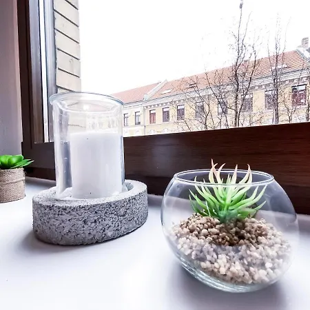 Mit Modernem Bad, Kueche, Waschmaschine Und Trockner Апартаменты Лейпциг